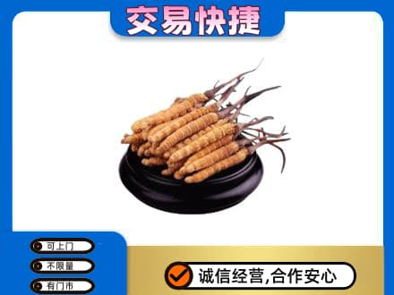 岳阳楼区高价回收冬虫夏草多少钱每克